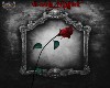 GOTH NIGHT ROSE