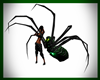 Gift Green Spider