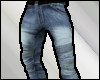 Jeans (male)  [VL]
