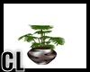 (CL) ELEGANT LOVE PLANT