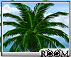 !R! Tropicana palm tree