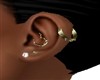 Multi Pierced Earrings