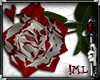 !ML QoH's Painted Rose