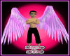 Pink Swirl Angel Wings