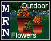 Outdoor Flowers