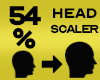 Head Sclaer 54%