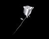 Silver Metal Rose (R-H)