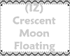 (IZ) Crescent Moon Float