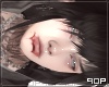 ✧. gore MH II [HAWK]
