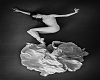 Ballerina Visual Art 4