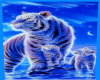 {B}Blue Lion&Cubs Poster