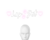 Neon | Lap Pet Paws