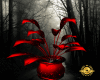 Vampire Plants/DS