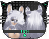 P; Dash Ears V5