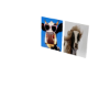 Cow Poster