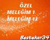Özel