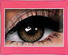 💕 My 2026 Eye