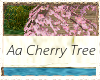 !!Aa Cherry Tree aA!!