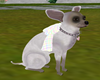 Pet Dog Angel
