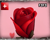 m/f be mine rose