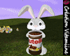 Easter Nutella Bunny