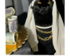 Meme Cat2