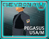 Pegasus Suit US Black