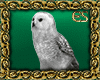 ES| Hedwig