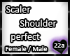 22a_Shoulder scaler perf