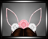 Easter Ears
