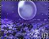 Spring Night Purple Moon