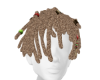 Locs Perere