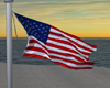 USA Flag Pole Windy