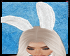 DC,,BUNNY EARS  WHITE