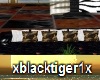 sofa blackwhait tiger