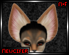 M! Coyote Ears 1