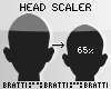 Head Scaler 65% M