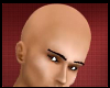 Very Bald Bald Head