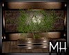 [MH] Ser. Bamboo Planter