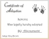 Semoire Adoption certif