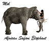 African Safari Elephant