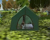 🎪Tienda de camping