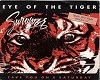 Eye of the Tiger