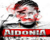 Aidonia Hot Tool