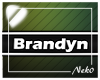 *NK* Brandyn (Sign)