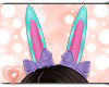 💗 Easter Ears