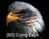[BD] A Crying Eagle