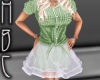 HBC Mint Plaid Dress