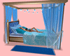 !     SWEET BLUE BED