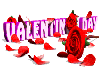 Valentines roses